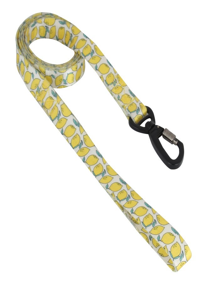 BLACK DOG Premium Adjustable Lock System, Collar & Leash Set for Puppies, Suitable for 1-10kg Puppies and Small Dogs (Size - Small -15mm) - Image 2